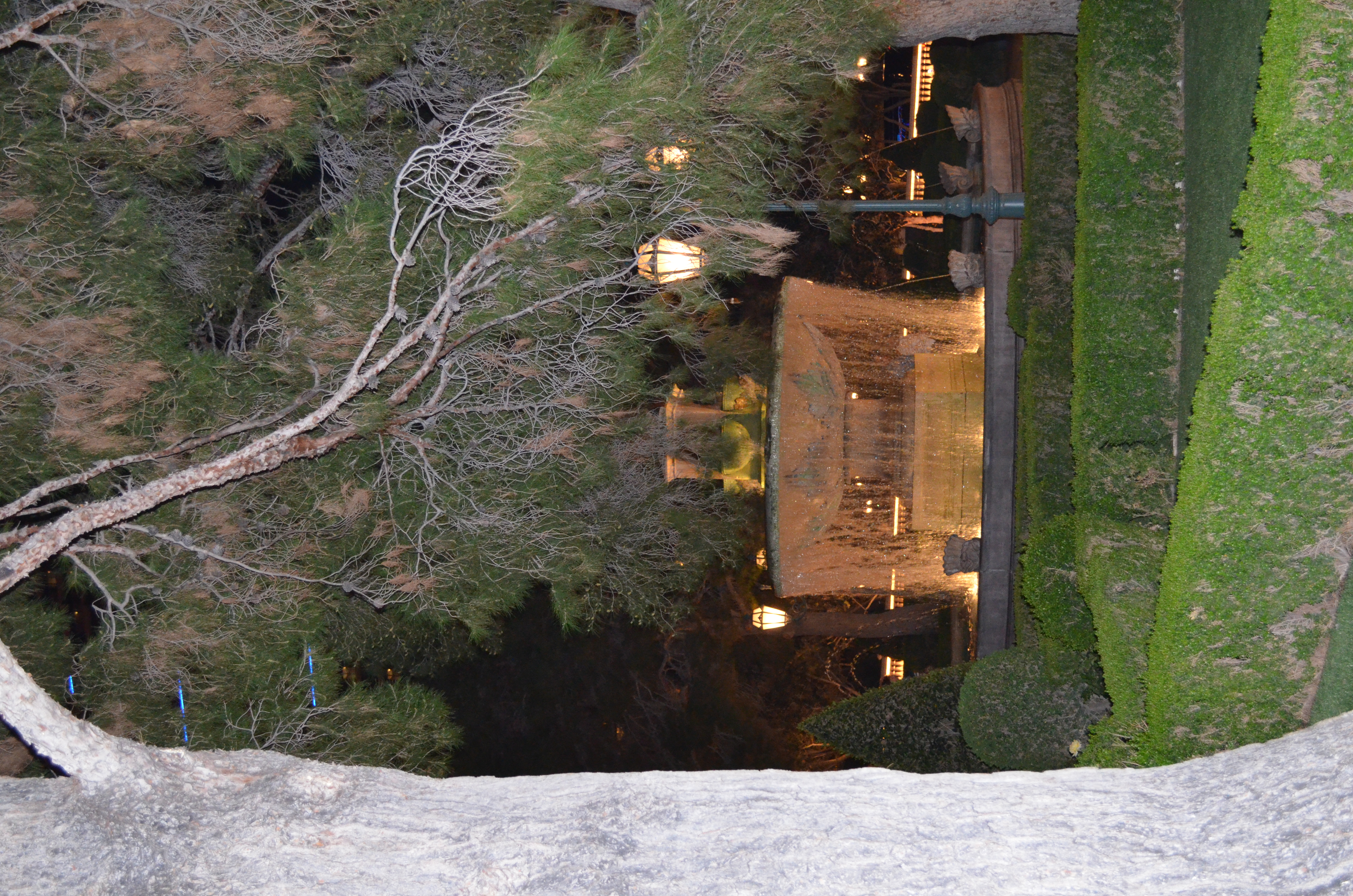 ./2016/04 - Las Vegas/Miscellaneous/DSC_0106.JPG